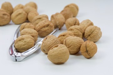 Group of walnuts in macro view isolated