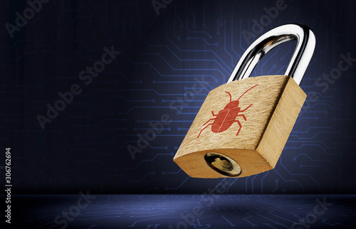 Cuadros en Lienzo Software security concept