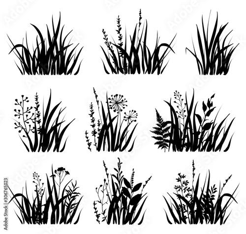 Download Set Of Black Silhouette Grass With Wild Herbs On White Background Grass Bushes Of Different Shapes Vector Illustration Stock Vector Adobe Stock