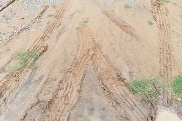 Canvas Print - tire track of many vehicle on ground