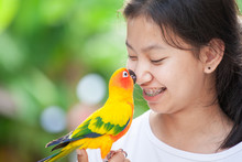 Beautiful Little Parrot Birds Standing On Woman Hand. Asian Teenager Girl Play With Her Pet Parrot Bird With Fun And Love