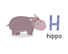 Letter H Hippopotamus Free Stock Photo - Public Domain Pictures