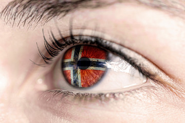 Flag of norway reflects in woman green eye - close-up view - election, sport, hope, young, generation	