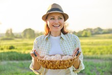 Mature Beautiful Woman Farmer With Basket Of Fresh Eggs,