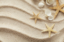 Seashells On Sand Beach