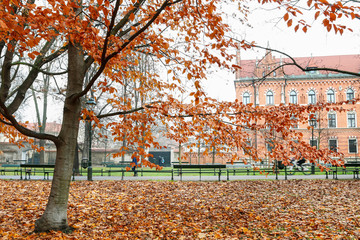 Canvas Print - KRAKOW, POLAND - NOVEMBER 27, 2019: Planty - city park