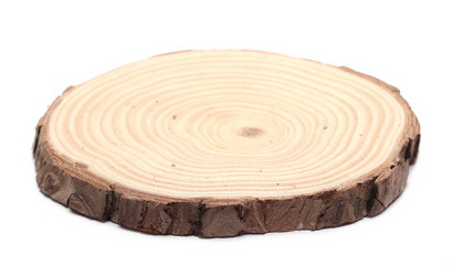Cross section of tree trunk, stump, isolated on white background