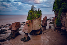Sunset In Hopewell Rocks At Low Tide