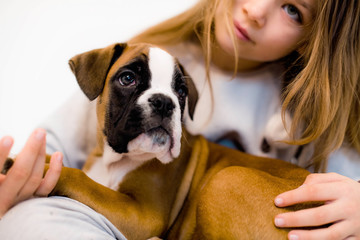 Poster - pretty little girl playing with her new puppy