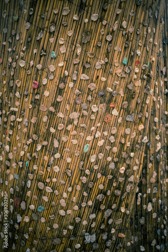 Fotografía Paris, France - November 18, 2019: Big Tree with chewing gum in the near the tom