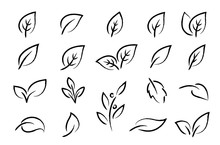 Hand Drawn Black Leaf Branch Icons Eco Set