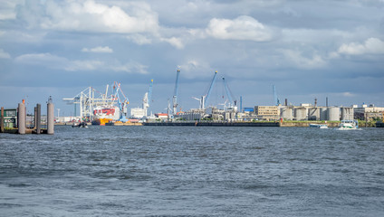 Wall Mural - Port of Hamburg