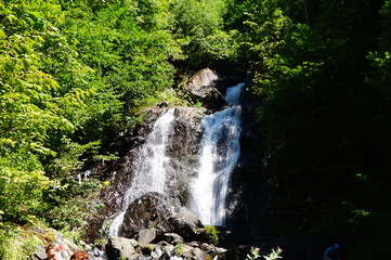 Poster - waterfall in the forest