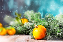 Tangerines And Fir Tree Branches