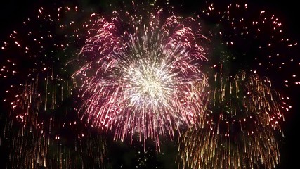 Canvas Print - 3d abstract. realistic animation firework colorful.