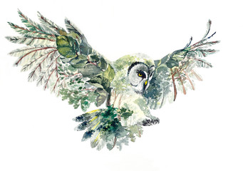 owl in green forest