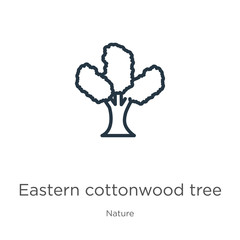 Wall Mural - Eastern cottonwood tree icon. Thin linear eastern cottonwood tree outline icon isolated on white background from nature collection. Line vector eastern cottonwood tree sign, symbol for web and mobile