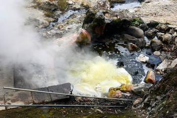 Cooking sweet corn in thermal springs. Travel to Furnas, San Miguel, Azores..Furnas is a valley of geysers and fumaroles, thermal baths, and mineral springs.