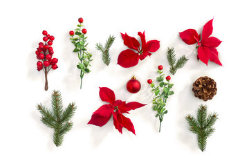 Wall Mural - christmas decoration. flowers of red poinsettia, branch christmas tree, ball, cone pine, red berry o