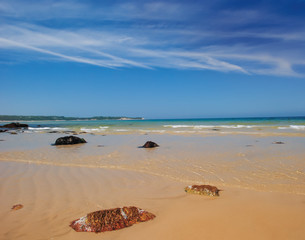 Beach at low tide with rippling water, New England beach