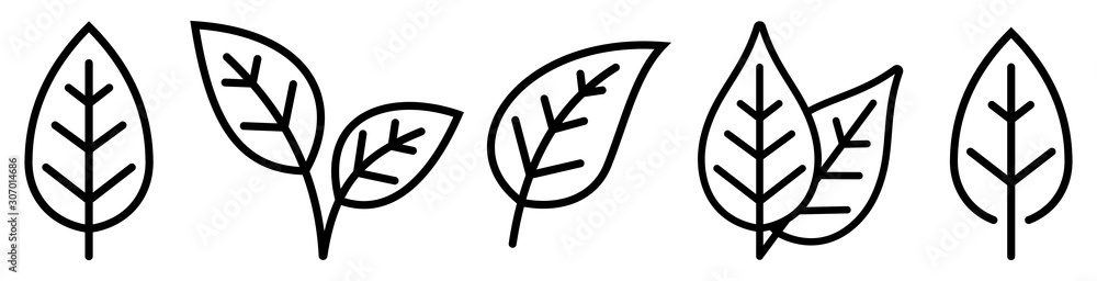 Leaf simple icon set. Vector - obrazy, fototapety, plakaty 