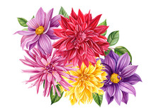Bouquet Of Dahlia Flowers On Isolated White Background, Watercolor Clipart, Hand Drawn Painting