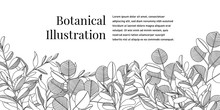 Black And White Botanical Background