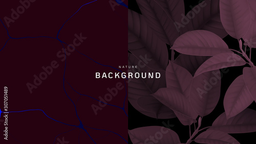 Nature background, Ficus Elastica or rubber plant and marble ink texture in d...