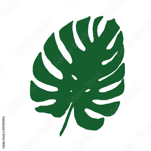 vector silhouette of tropical leaf monstera element for design. postcard, poster