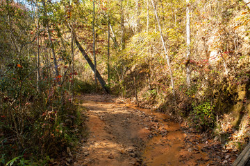 Wall Mural - Providence Canyon, Georgia