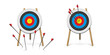 Hitting and missed target with archery arrow set