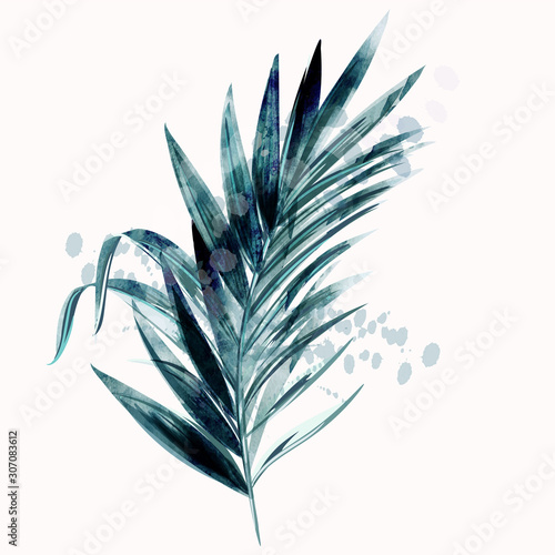 ilustracja-z-tropikalny-wektor-zielony-lisc-palmowy-w-stylu-przypominajacym-akwarele