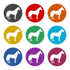 Sticker - Horse color icon set isolated on white background