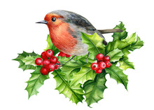 New Year And Christmas, Cute Bird Robin, Balls, Holly, Watercolor Illustration On An Isolated White Background