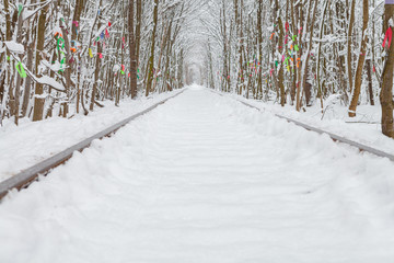 Poster - a railway in the winter forest tunnel of love.a railway in the winter forest tunnel of love.