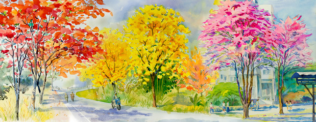 Painting red pink yellow flower tree roadside with traveling spring.