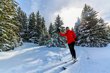 Leinwandbilder - Woman cross country skiing on a sunny winter morning in Swiss Alps, Thyon, les collones, Valaise canton.