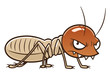 Cartoon worker termite