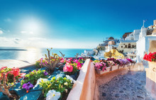 Santorini, Greece. Picturesqe View Of Traditional Cycladic Santorini Houses On Small Street With Flowers In Foreground. Oia Village, Santorini, Greece. Vacations Background.