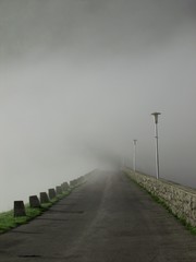 Wall Mural - fog