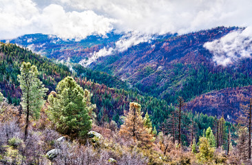 Sticker - Landscape of Yosemite National Park in California