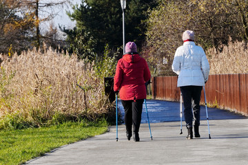 Two adult women walking with Hiking or trekking telescopic walki