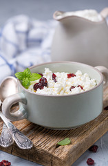 Canvas Print - Organic farm cottage cheese in a ceramic bowl.