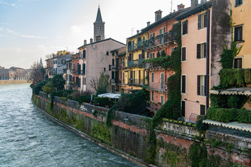 Wall Mural - Buildings in Verona