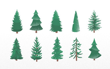 set of fir tree with snow texture. pine and spruce xmas vector illustration isolated on white backgr