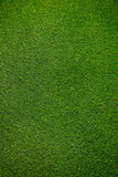 Fototapeta  - greem artificial grass background texture	