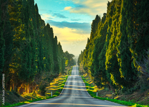 Fotografía Bolgheri famous cypresses tree straight boulevard