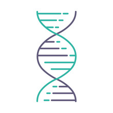 DNA Double Helix Violet And Turquoise Color Icon. Deoxyribonucleic, Nucleic Acid Structure. Spiraling Strands. Chromosome. Molecular Biology. Genetic Code. Genome. Isolated Vector Illustration