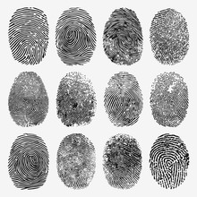 Fingerprint Vector Set