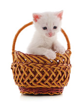 Small Kitten In A Basket.